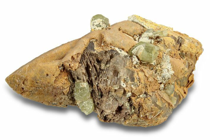 Lustrous, Yellow Apatite Crystals on Calcite - Morocco #251163